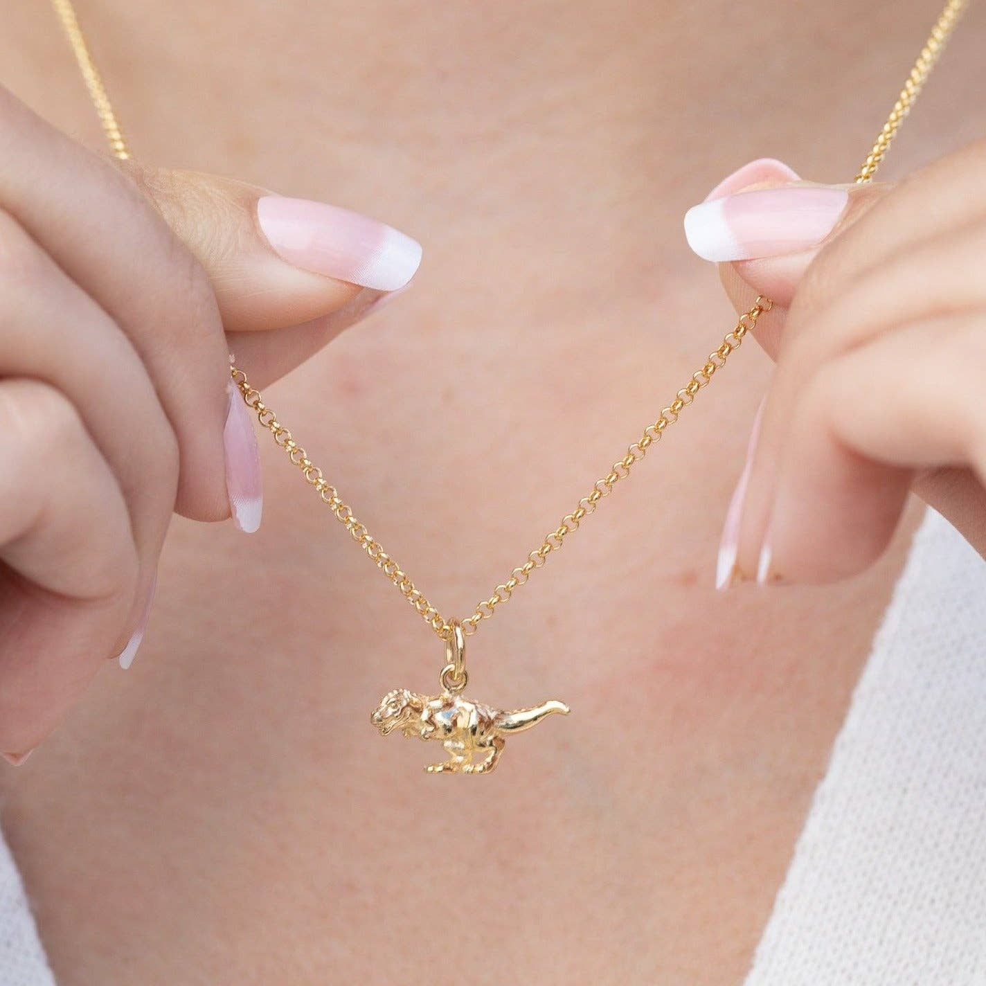 Silver T-Rex Dinosaur Charm Necklace: Chain: 40-45cm / Sterling Silver